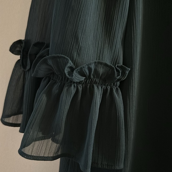 Ann Taylor Ruffle Blouse - Picture 2 of 5